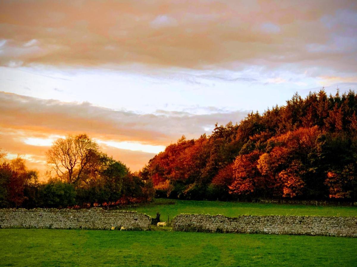 Bruxie Holiday Cottages - Honeysuckle Cottage Maud Dış mekan fotoğraf
